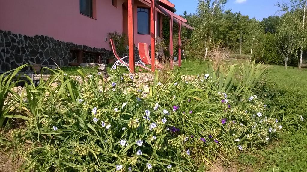 Panorama Vegapansion Appartement Szendehely Buitenkant foto